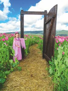 Die Mohnfee begrüßt zur Meißner Mohnblüte