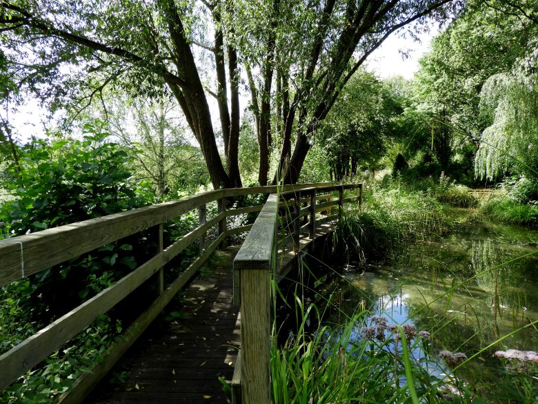 GrimmHeimat NordHessen - Sand - Rosengarten