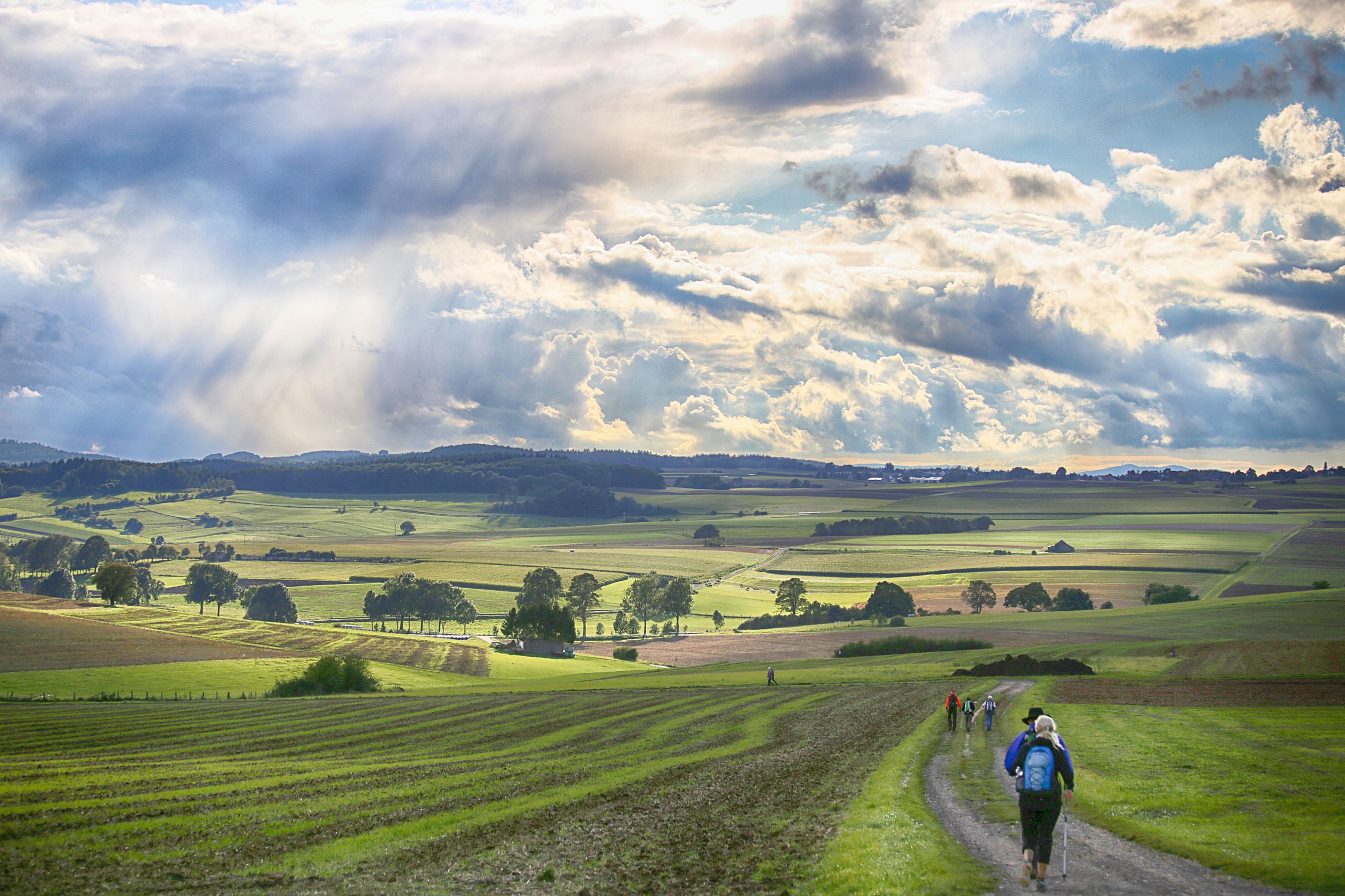 GrimmHeimat NordHessen - Wandern - Kellerwaldsteig