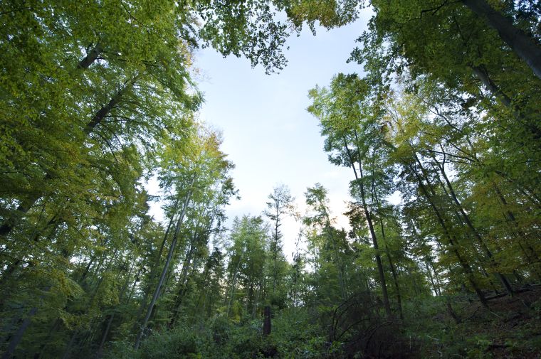 GrimmHeimat NordHessen - Nationalpark Kellerwald Edersee