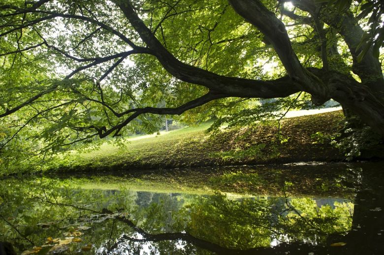 GrimmHeimat NordHessen - Kassel - Bergpark Wilhelmshöhe