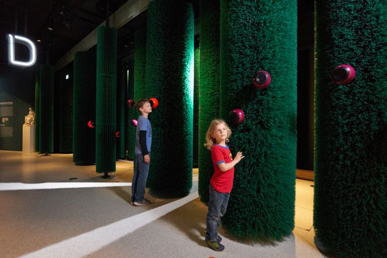 GrimmHeimat NordHessen - Kassel - GRIMMWELT - Dornroeschens Hecke